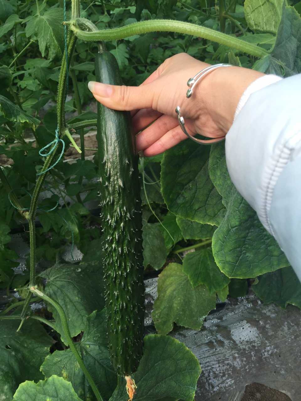 我的手機(jī)圖片 030.JPG