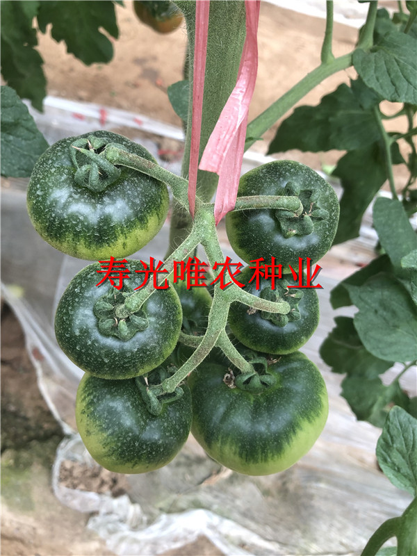 2019-01-09 我的手機(jī)圖片IMG_1588.jpg