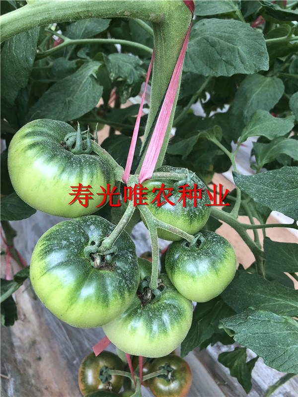 2019-01-09 我的手機(jī)圖片IMG_1592.jpg