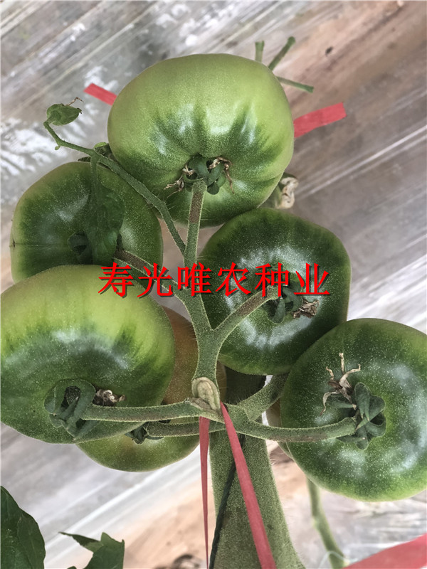 2019-01-09 我的手機(jī)圖片IMG_1583.jpg