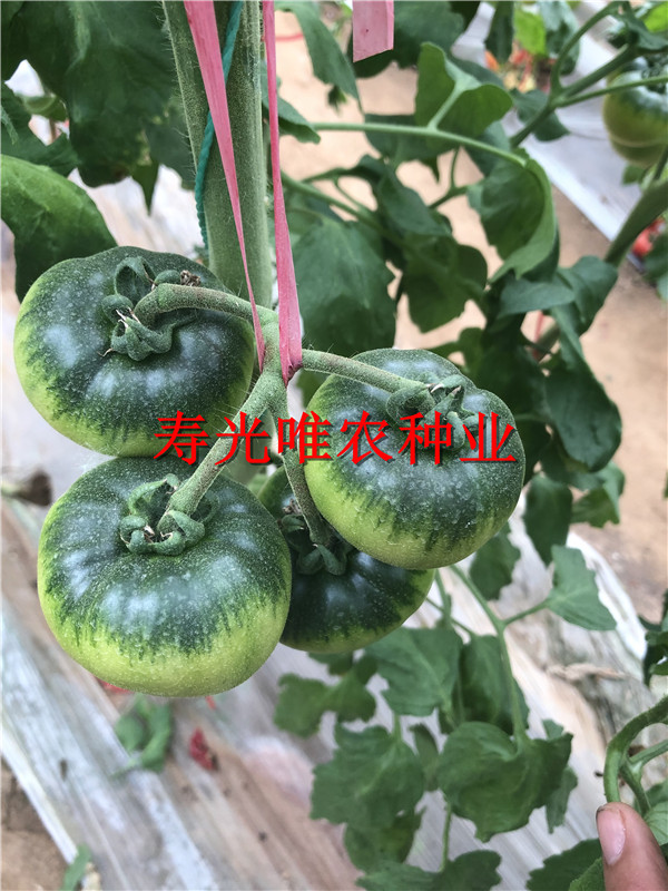 2019-01-09 我的手機(jī)圖片IMG_1587.jpg