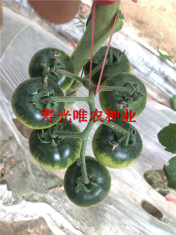 2019-01-09 我的手機(jī)圖片IMG_1589.jpg